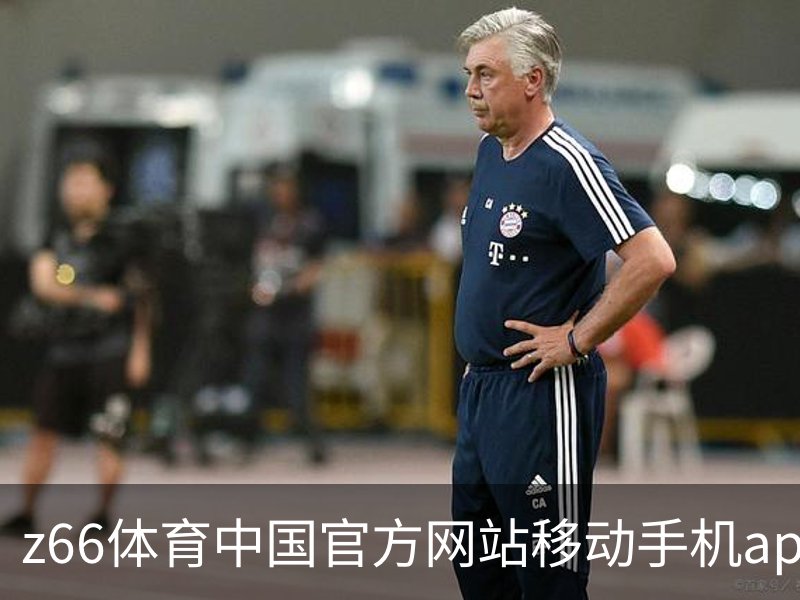 z66体育中国官方网站移动手机app官方入口｜训练服务概况